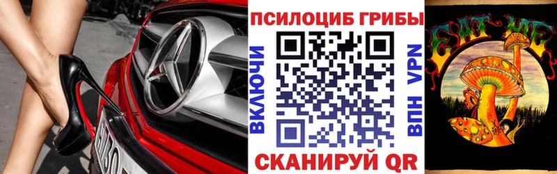 Галлюциногенные грибы MAGIC MUSHROOMS  Купить  Камышлов 